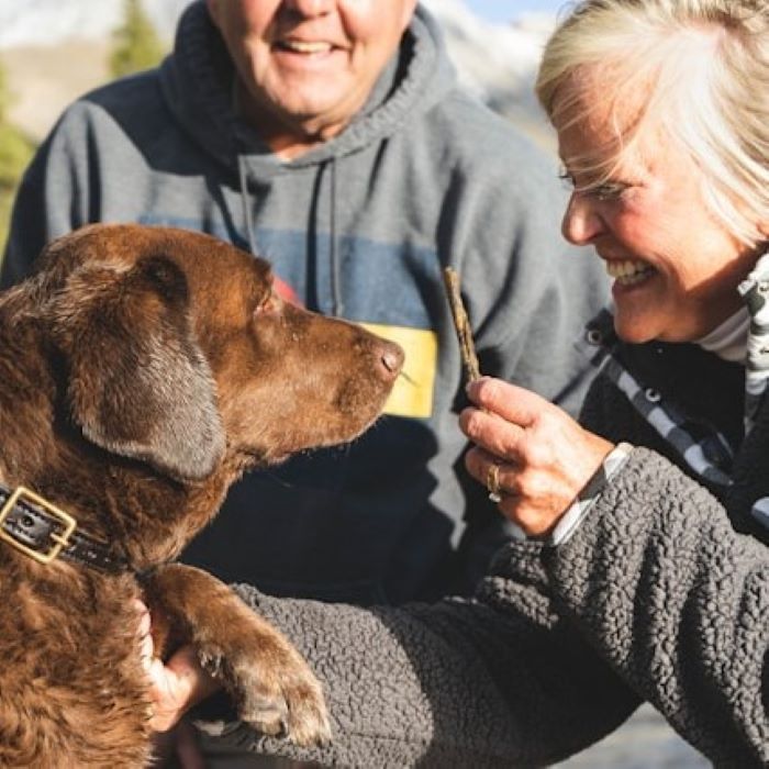 5-fdevarer-der-skader-din-hund